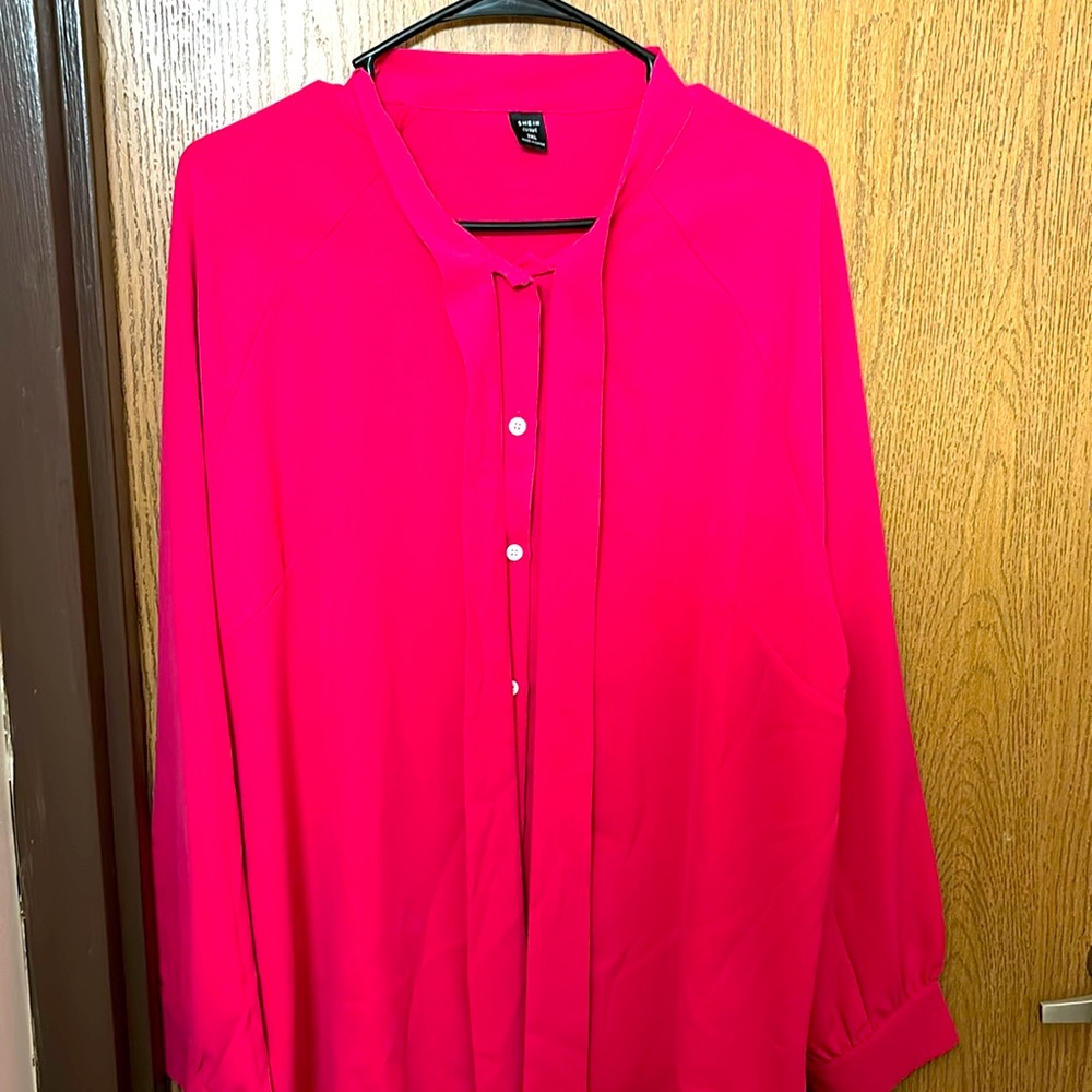 Pink Blouse button down with a tie